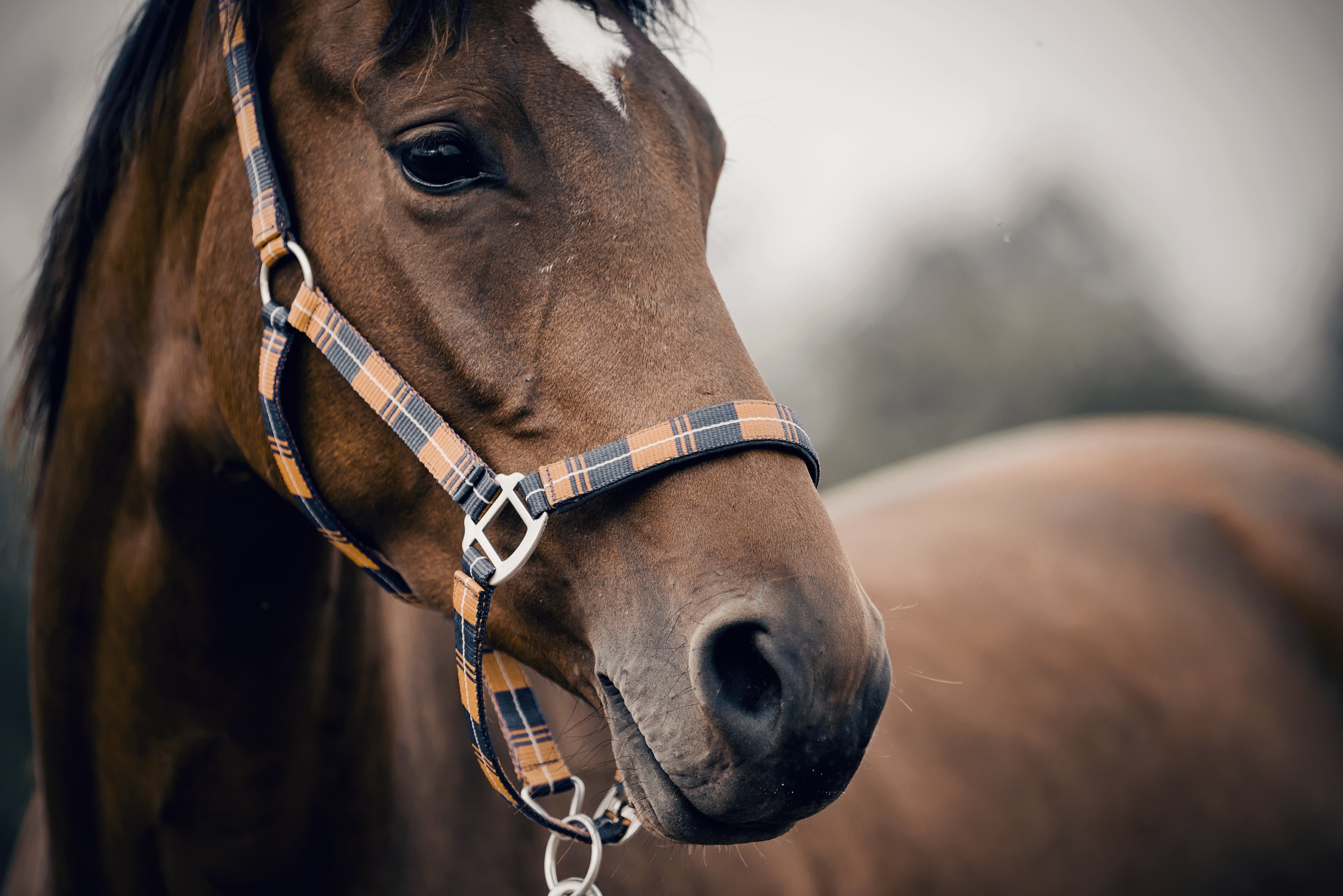 iStock-1296184856.jpg